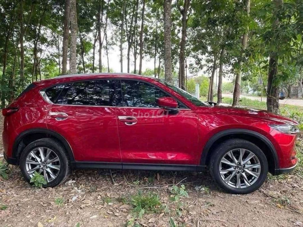 Ảnh số 2