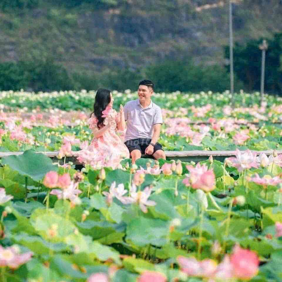 du lịch giá rẻ