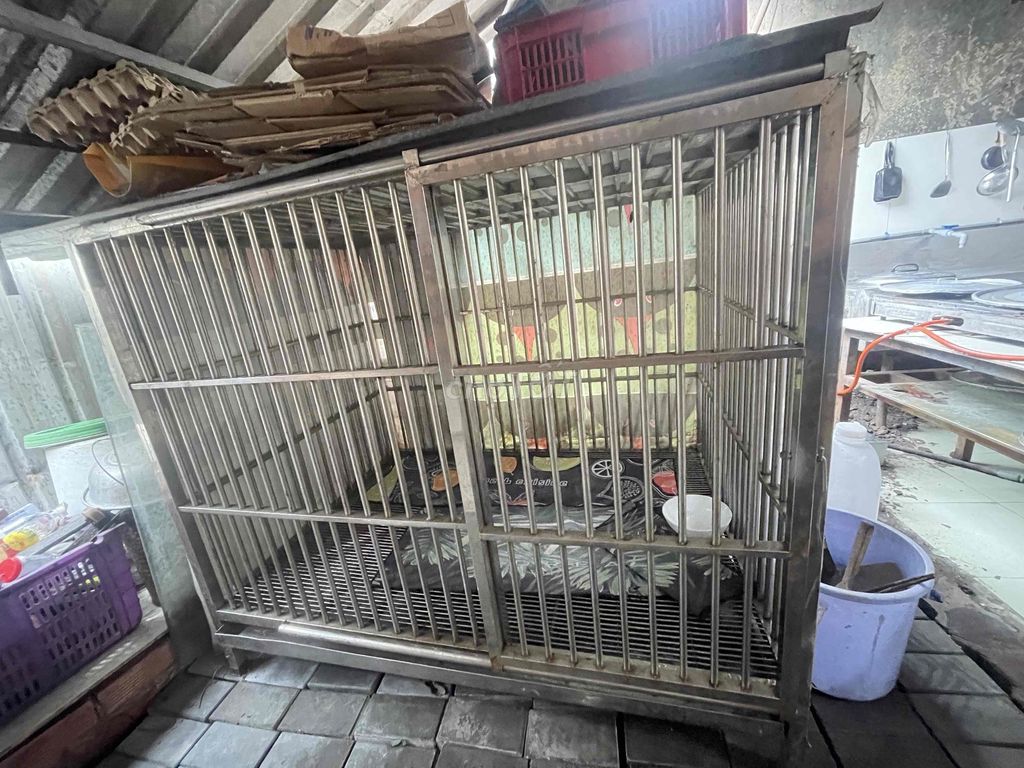 Chuồng chó Inox cỡ lớn 1m4x1m2x1m. Mua bán Phụ kiện, Thức ăn, Dịch vụ tại Thành phố Thủ Dầu Một Bình Dương được đăng bởi Xuân Hoàng hình 1
