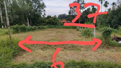Đất 232 m² · Đường Cây Gõ