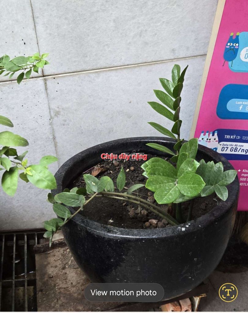 Dư dùng bán rẻ 1 phần 3 giá