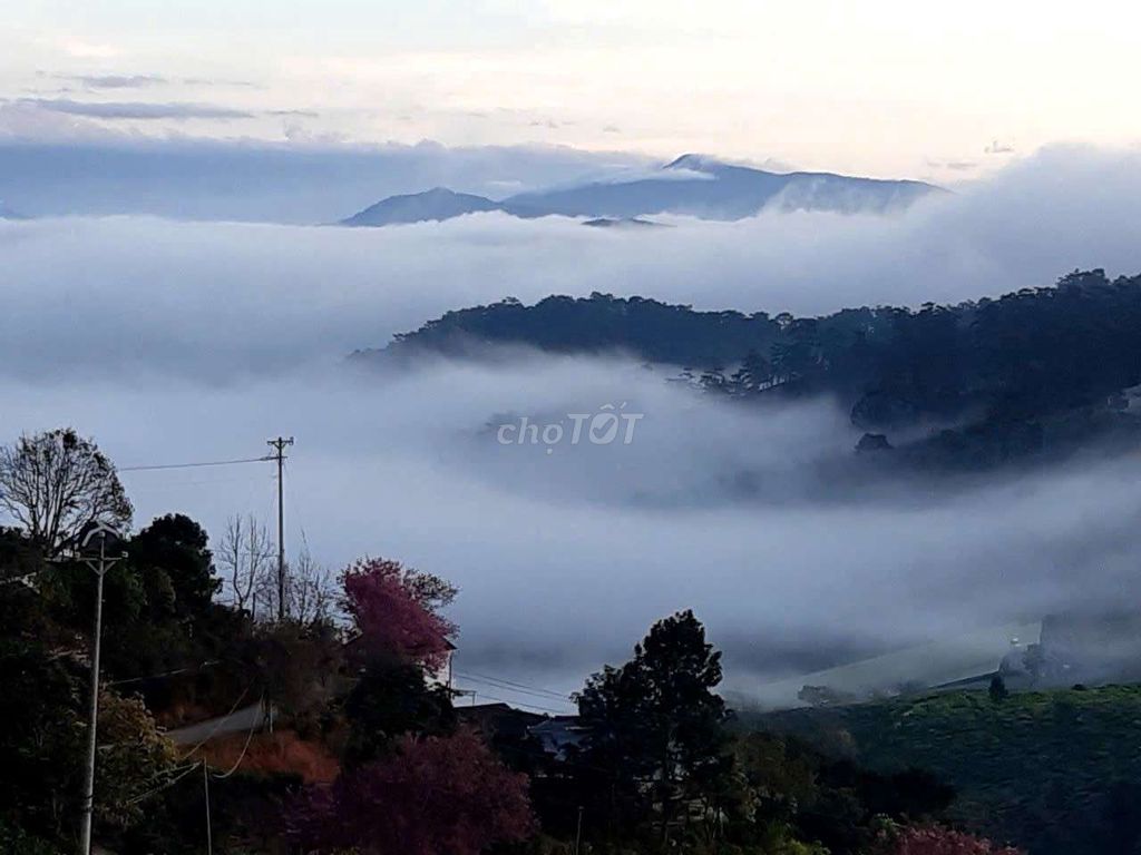 Nhà Mặt tiền quốc lộ 20 view săn mây