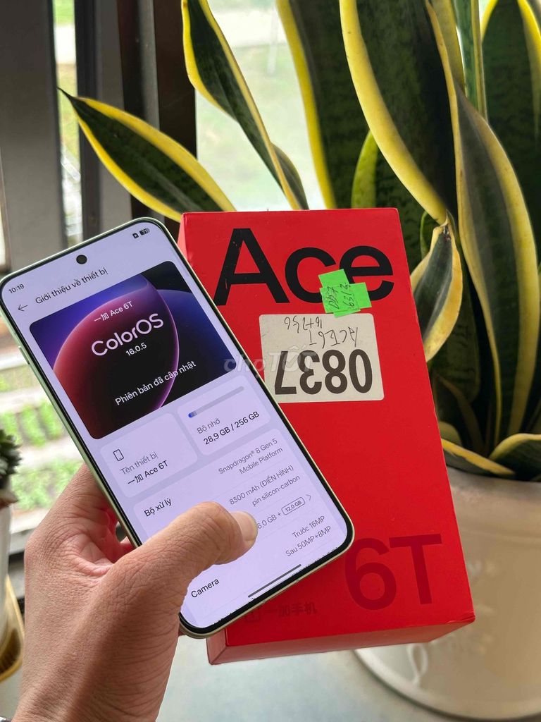 OnePlus Ace 6T 12/256GB Xanh fullbox đẹp 99. Mua bán Điện thoại tại Thành phố Thủ Dầu Một Bình Dương được đăng bởi Hoàng hải hình 1
