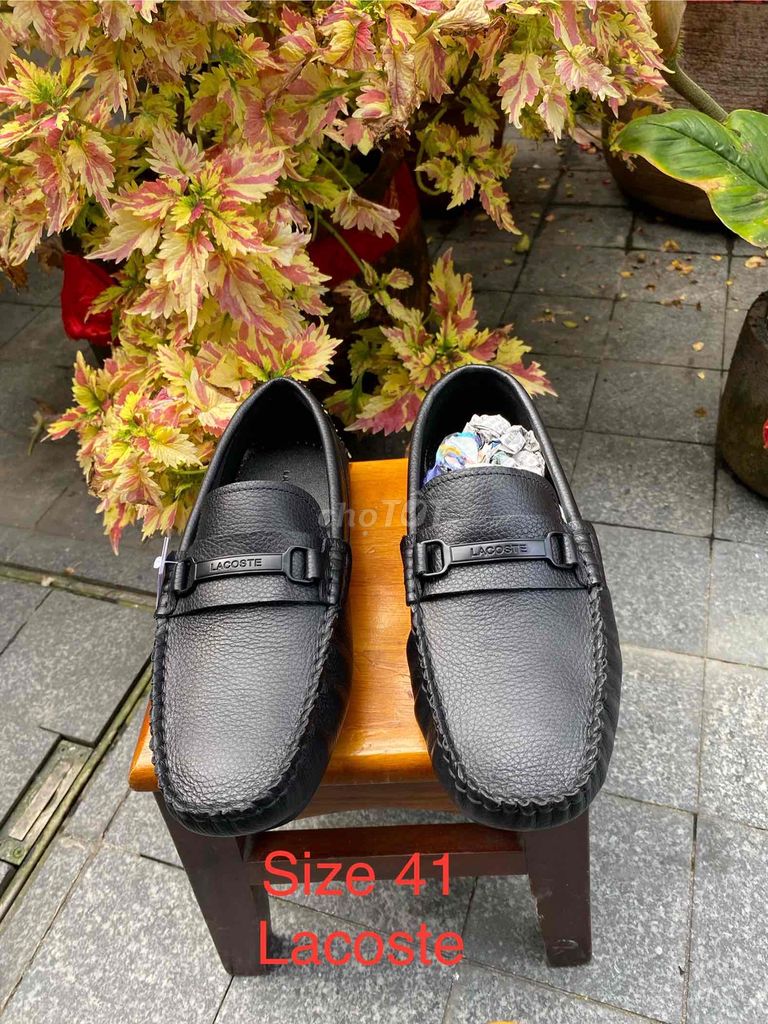 Lacoste size 41 42 43  chuẩn lên chân giá 850k