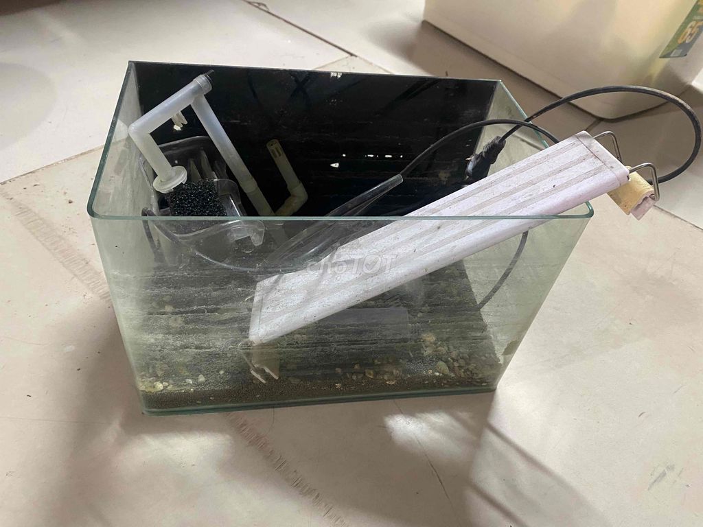 Bể cá mini Kính có Đèn, sục. Mua bán Phụ kiện, Thức ăn, Dịch vụ tại Quận Nam Từ Liêm Hà Nội được đăng bởi Nguyễn Phúc hình 1
