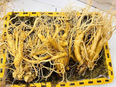 BÁN SÂM TƯƠI HÀN QUỐC – 3 CỦ/1KG. Mua bán Đồ ăn, thực phẩm và các loại khác tại Quận Bắc Từ Liêm Hà Nội được đăng bởi Dung Bui