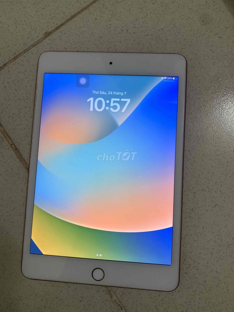 iPad Mini 5 Wifi 64GB Rose Gold. Mua bán Máy tính bảng tại Thành phố Thủ Đức Tp Hồ Chí Minh được đăng bởi Cana Group hình 1