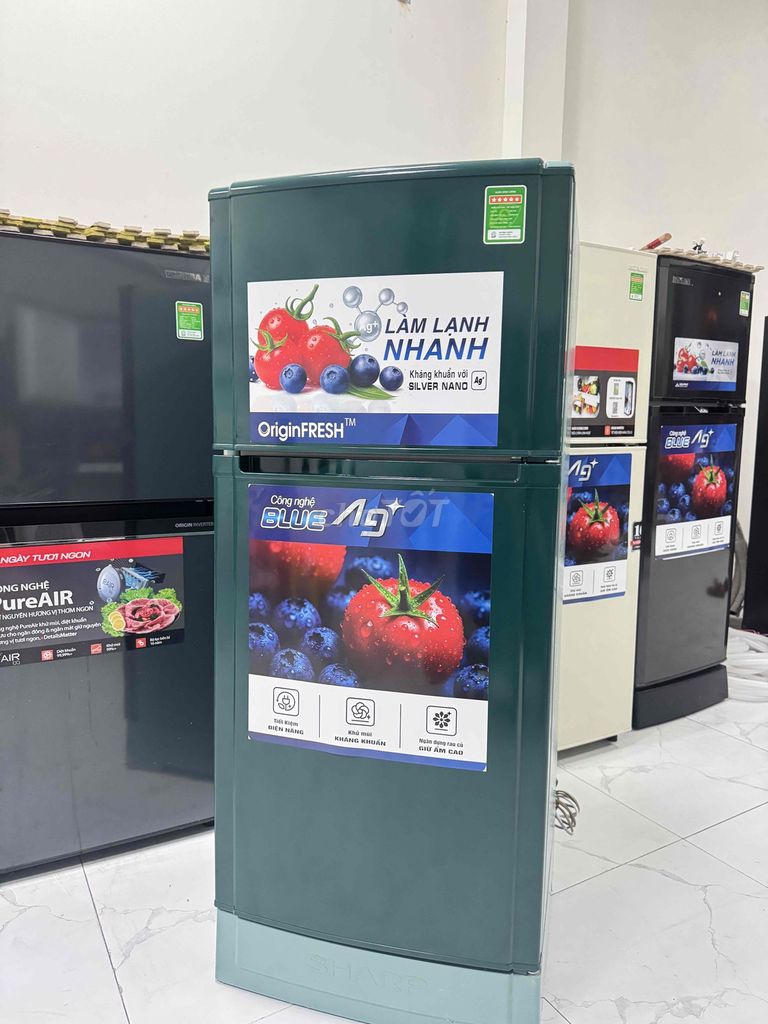 Tủ lạnh Sharp OriginFRESH 165l. Mua bán Tủ lạnh tại Quận Tân Phú Tp Hồ Chí Minh được đăng bởi  ĐIỆN MÁY HOÀNG HUY hình 1