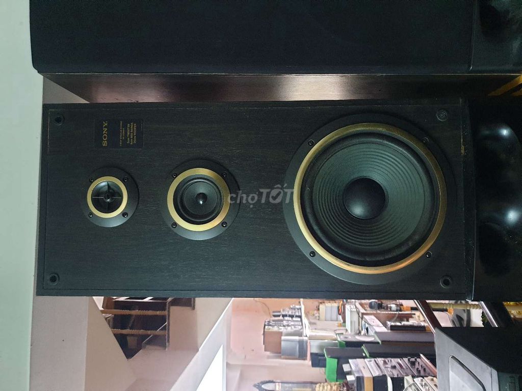 Loa Sony SS A290DX (bass 25cm