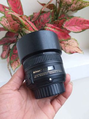 Lens fix nikon 50G. Mua bán Máy ảnh, Máy quay tại Thành phố Long Xuyên An Giang được đăng bởi Lý Phước Hảo