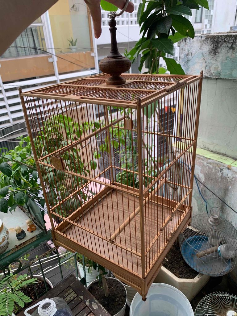 Lồng vuông hm om. Mua bán Phụ kiện, Thức ăn, Dịch vụ tại Quận 4 Tp Hồ Chí Minh được đăng bởi Lâm Ngọc hình 1