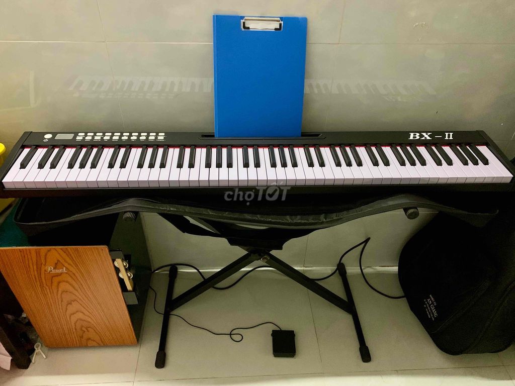 ĐÀN PIANO BX-2 GIÁ HẠT DẺ TẠI TPHCM