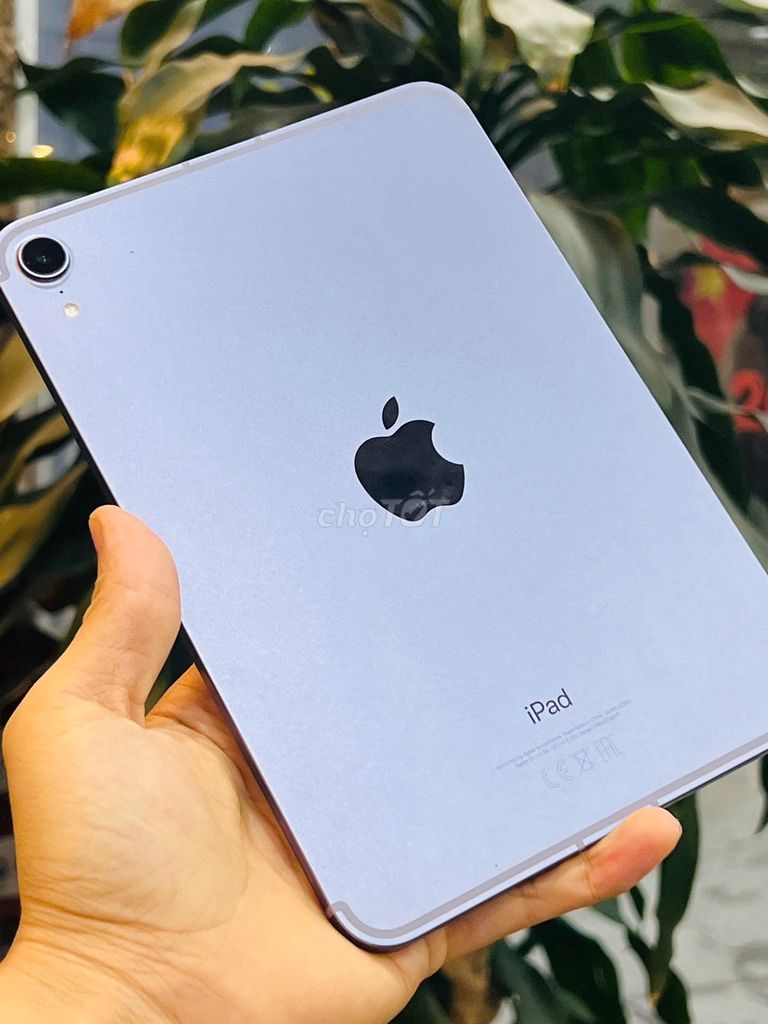 iPad Mini 6 256GB 5G + WiFi Rất Đẹp. Mua bán Máy tính bảng tại Quận Đống Đa Hà Nội được đăng bởi Hoàng Táo  hình 1