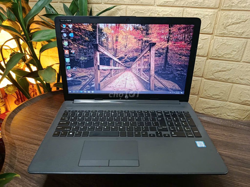 HP 250 G7 i5/8/8/256 15,6" FHD, máy đẹp keng !. Mua bán Laptop tại Quận Bắc Từ Liêm Hà Nội được đăng bởi Đồng Thanh Duy hình 1