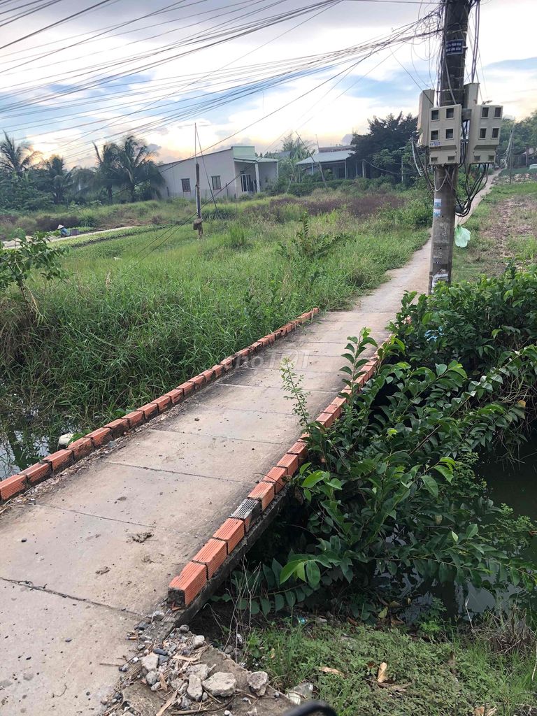 Đất trồng cây lâu năm Long an-Phước hậu