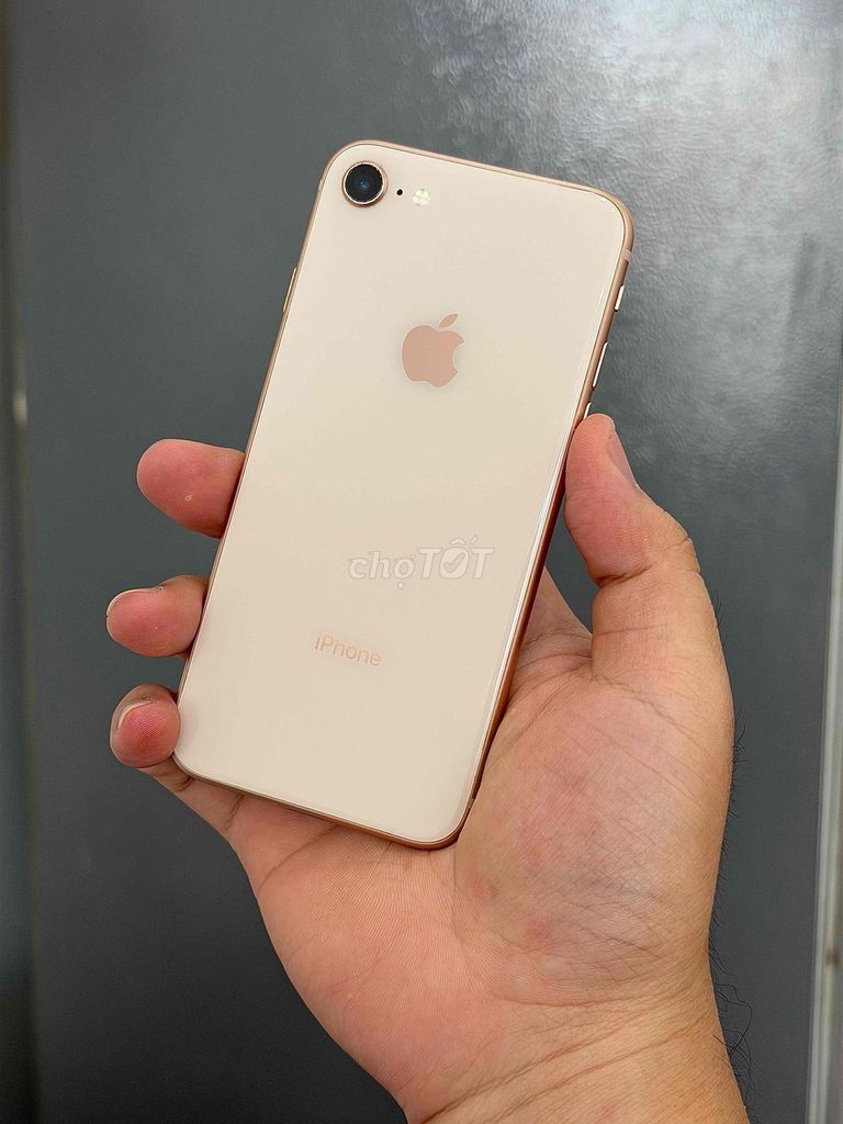 Apple iPhone 8 64GB Vàng 99% Quốc Tế 9999%. Mua bán Điện thoại tại Quận Ninh Kiều Cần Thơ được đăng bởi Cầm Đồ Tấn Lợi hình 1