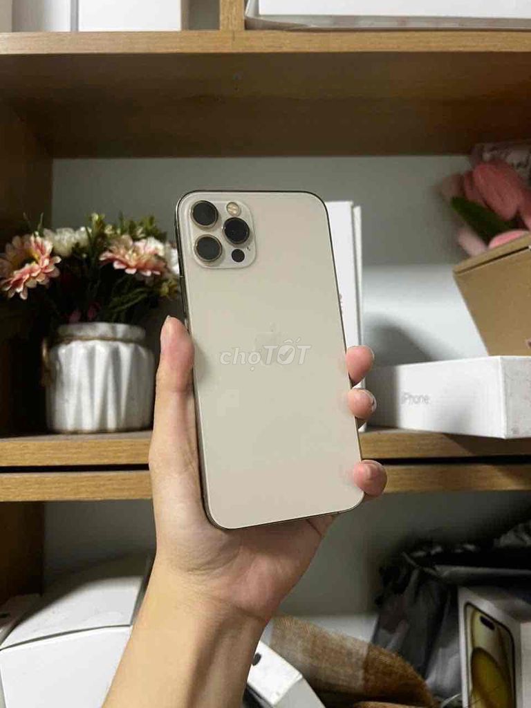 Apple iPhone 12 Pro Vàng 5G. Mua bán Điện thoại tại Quận 7 Tp Hồ Chí Minh được đăng bởi Trâm bán táo  hình 1