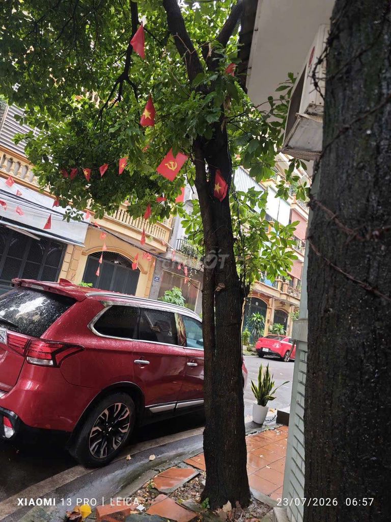 Bán cây lộc vừng ở Định Công, Hà Nội. Mua bán Cây cảnh, đồ trang trí tại Quận Hoàng Mai Hà Nội được đăng bởi Long Nguyễn hình 1