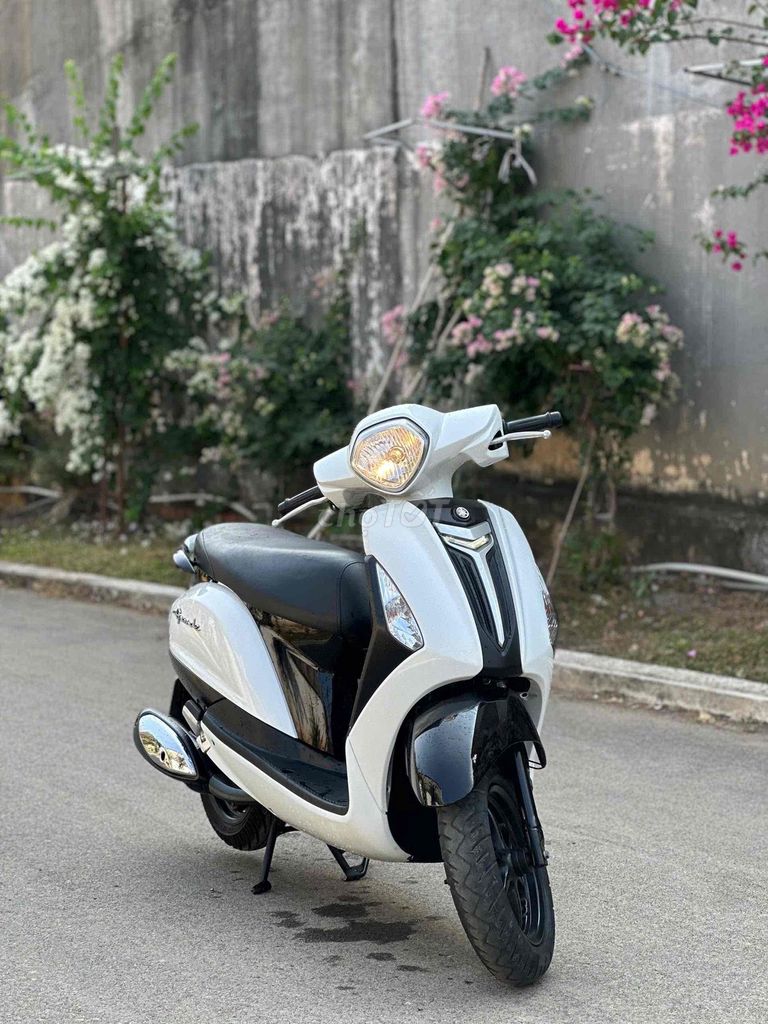 Yamaha Grande 2017 Trắng đen