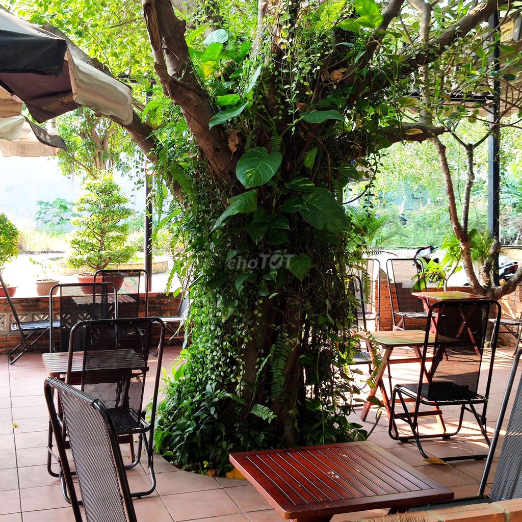 ☕ SANG QUÁN CAFE – VỊ TRÍ ĐẸP, KHÔNG GIAN 400M², CÓ THỂ LÀM CHỖ Ở  🏡. Mua bán văn phòng, mặt bằng kinh doanh tại Thành phố Dĩ An Bình Dương được đăng bởi Việt hình 4