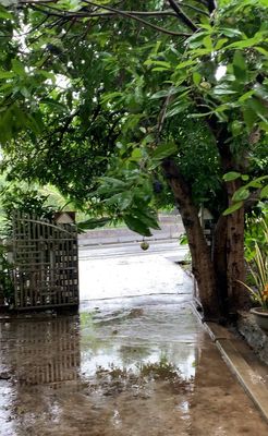 Bán nhà mặt đường Quốc lộ 1A thôn Mỹ Phú 1, xã Ô Loan, Đăk Lăk