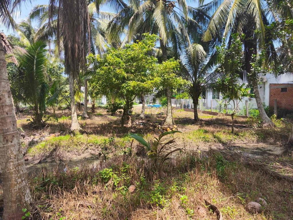 Đất công Phường Nguyệt Hoá