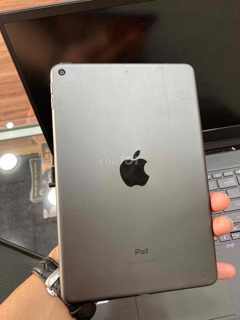 ipad mini 5 256G