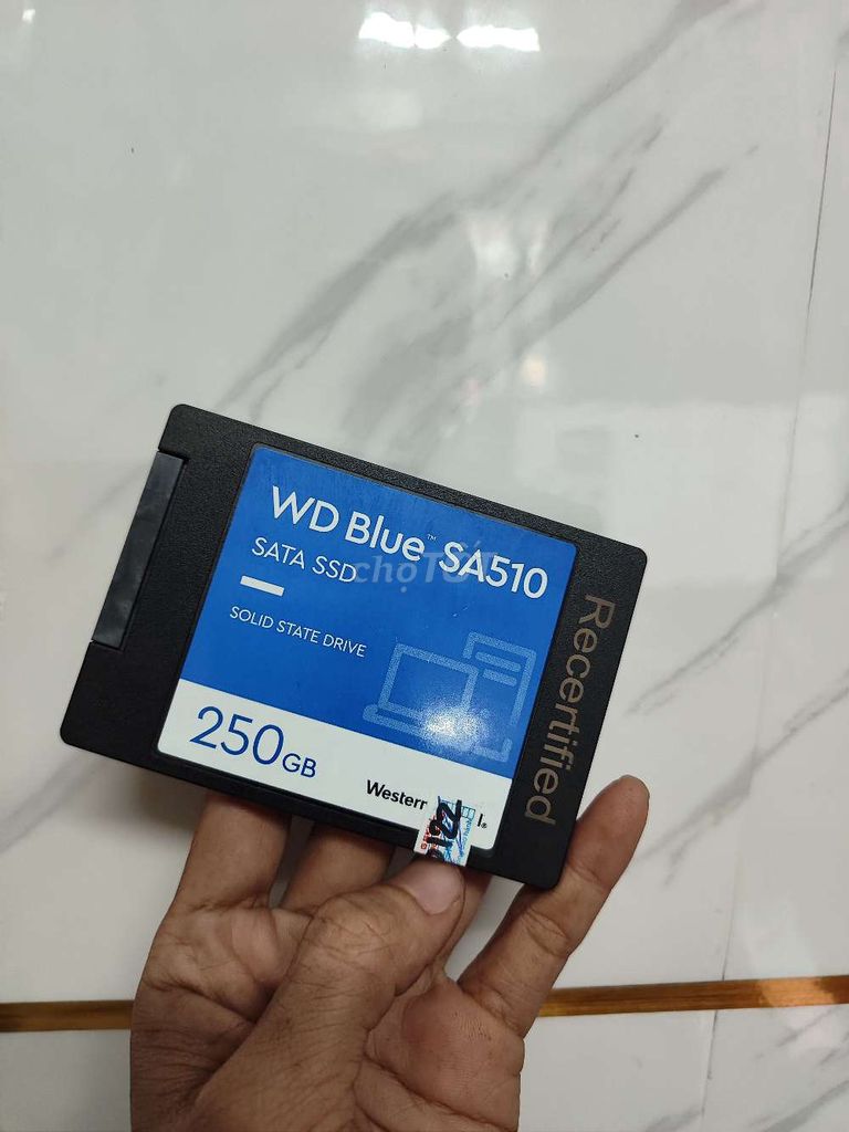 Ổ cứng SSD Western Digital WD Blue SA510. Mua bán Linh kiện (RAM, Card...) tại Quận Bình Tân Tp Hồ Chí Minh được đăng bởi 198Memory hình 1