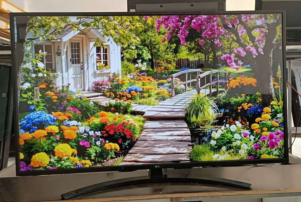 Tivi LG 55UM7300PTC 55 inch. Mua bán Tivi, Âm thanh tại Quận Cẩm Lệ Đà Nẵng được đăng bởi Nguyễn Thị Ngọc hình 1