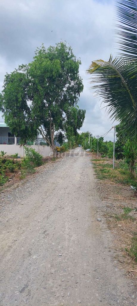 THỦ THỪA, TÂY NINH ( LONG AN cũ). 3 triệu/m2, cách TT Hành chính 6km 