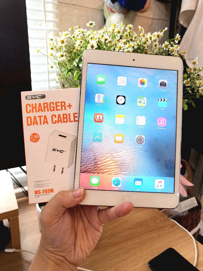 Bán thanh lý iPad Mini cho bé xem Youtube