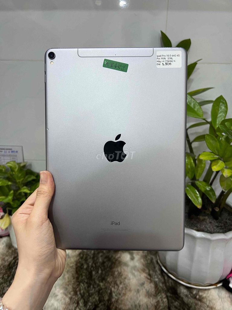 iPad Pro 10.5 64GB 4G+WiFi Xám Zin nguyên bản p95. Mua bán Máy tính bảng tại Huyện Hóc Môn Tp Hồ Chí Minh được đăng bởi SIRI STORE HCM hình 1