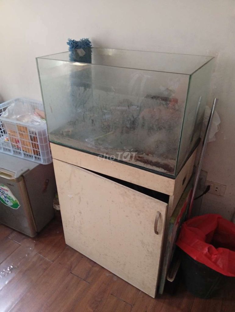 Bể cá cảnh Kính + Tủ. Mua bán Phụ kiện, Thức ăn, Dịch vụ tại Quận Đống Đa Hà Nội được đăng bởi Haianh Tran hình 1