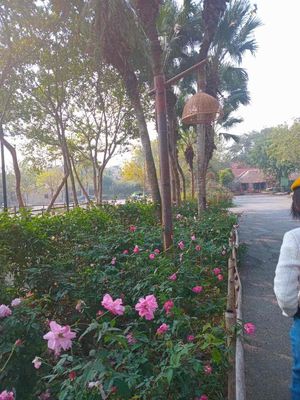 Mảnh đất 1000m,có 400m thổ cư tại thôn Đa Hội,xã Bắc Sơn,huyện Sóc Sơn. Mua bán đất tại Huyện Sóc Sơn Hà Nội được đăng bởi Anh Hai