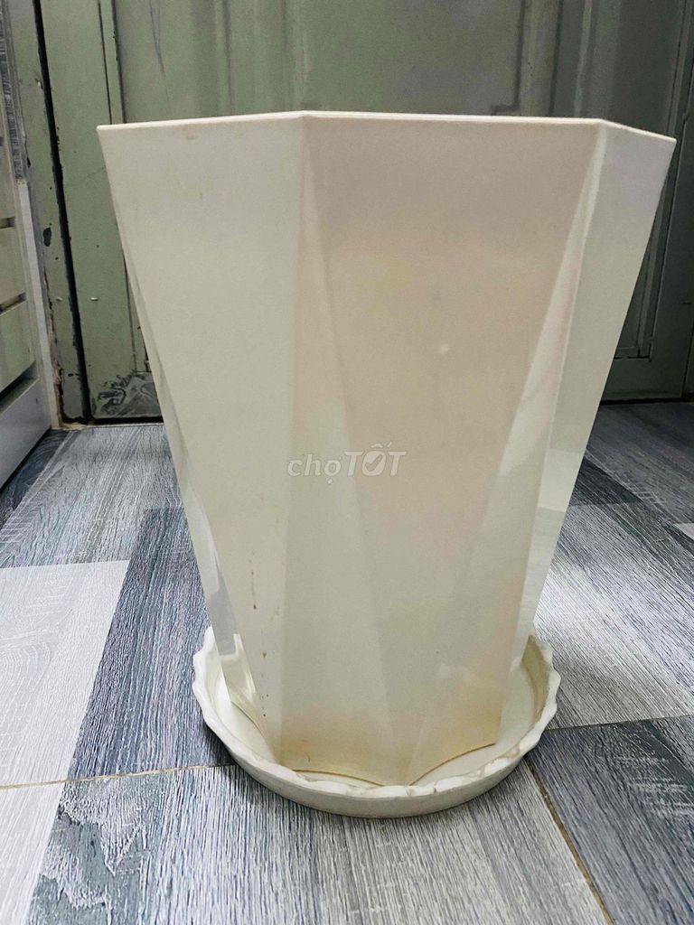 Chậu cây nhựa Trắng 30cm 23cm. Mua bán Cây cảnh, đồ trang trí tại Thành phố Thủ Đức Tp Hồ Chí Minh được đăng bởi Buôn bán Dạo sống qua ngày  hình 1