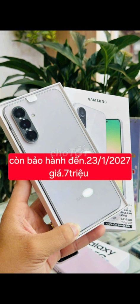 Samsung Galaxy A56 256GB Trắng. Mua bán Điện thoại tại Thành phố Vĩnh Long Vĩnh Long được đăng bởi nguyen van phung hình 1