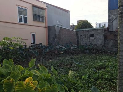 Cần bán đất ở Trang Quan , An Hải, Hải Phòng