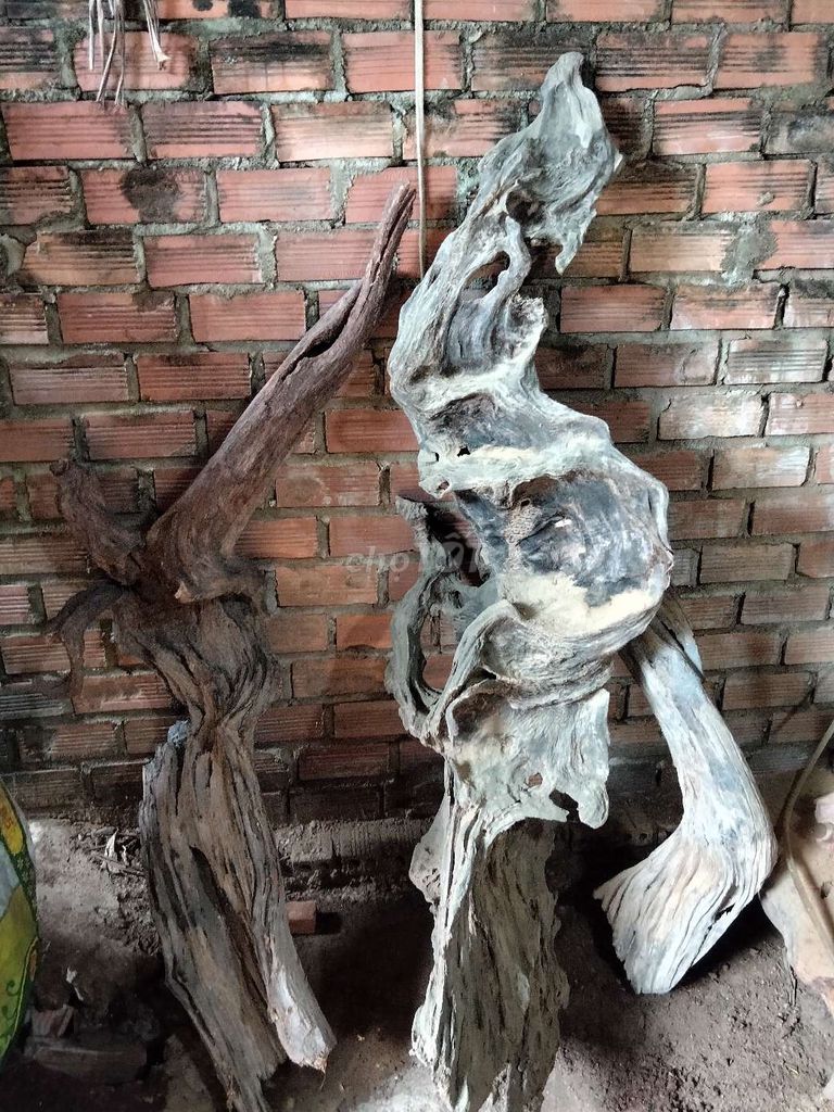 Gỗ lũa nghệ thuật Gỗ tự nhiên