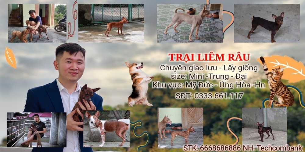 Cửa hàng Lương Thanh Liêm tại Huyện Mỹ Đức, Hà Nội hình 1