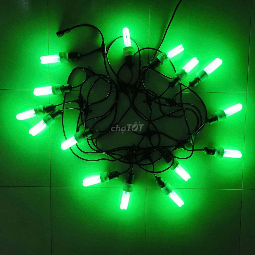 Bóng đèn HOA THAI 2U 11W Xanh lá. Mua bán Đèn tại Quận Tân Bình Tp Hồ Chí Minh được đăng bởi Tân Nhựt hình 1