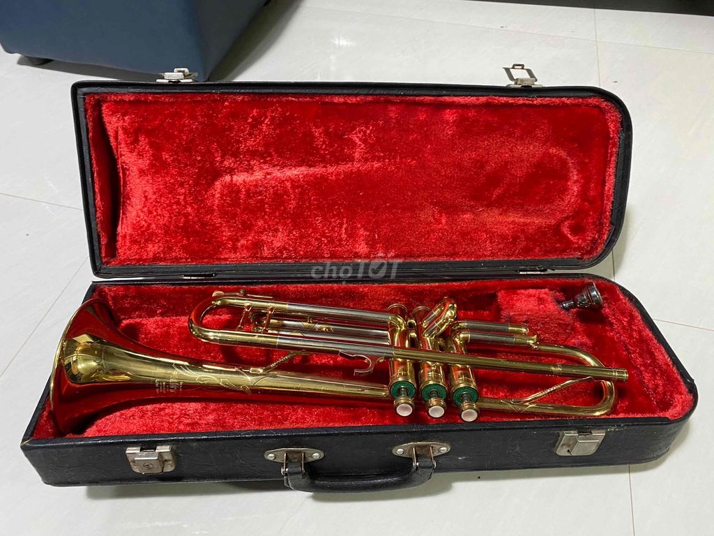 kèn trumpet