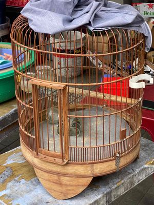 Lòng mi khuou. Mua bán Phụ kiện, Thức ăn, Dịch vụ tại Quận Phú Nhuận Tp Hồ Chí Minh được đăng bởi heri