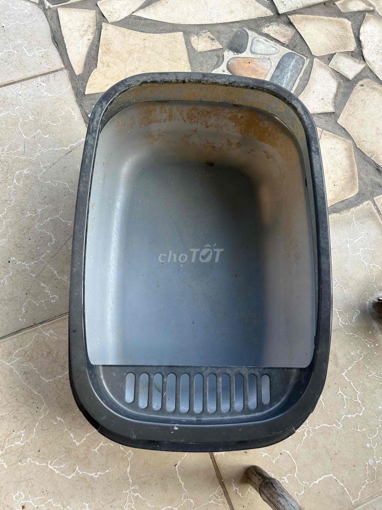 Chậu cát vệ sinh Mèo Xám Mới. Mua bán Phụ kiện, Thức ăn, Dịch vụ tại Quận Tây Hồ Hà Nội được đăng bởi Fancy hình 1