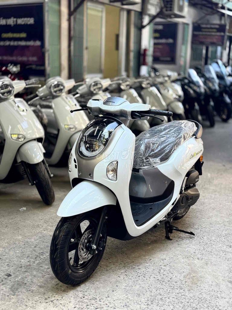 Honda Scoopy 110 2025 Trắng. Mua bán Xe máy tại Quận Cầu Giấy Hà Nội được đăng bởi Tuấn Việt Motor hình 1
