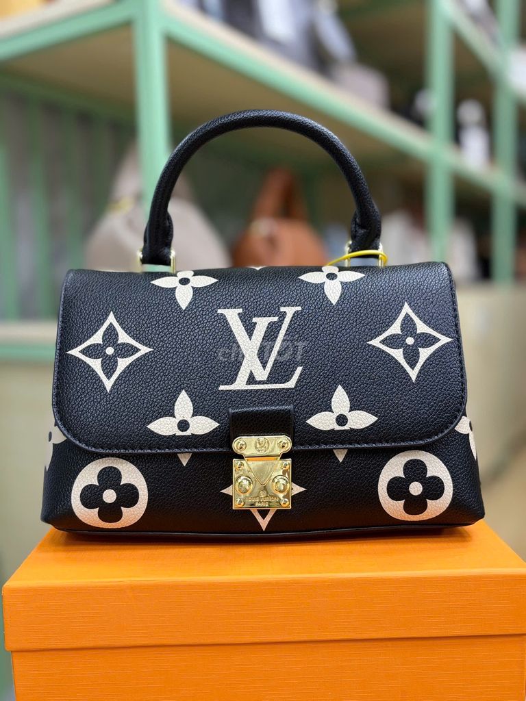 TÚI LOUISVUITTON