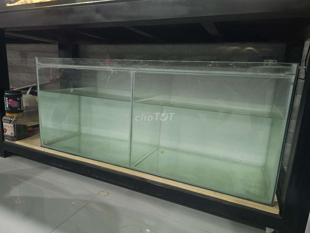 Hồ kính nuôi cá 1m2 50 50. Mua bán Phụ kiện, Thức ăn, Dịch vụ tại Huyện Trảng Bàng Tây Ninh được đăng bởi Phú hình 1