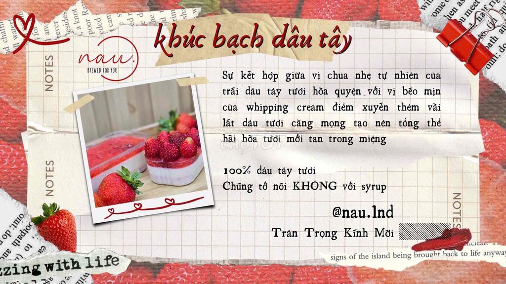 khúc bạch Dâu Tươi