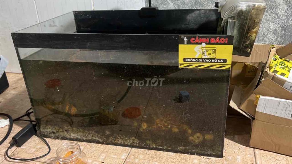 Bể cá cảnh Kính Đơn giản. Mua bán Phụ kiện, Thức ăn, Dịch vụ tại Huyện Long Thành Đồng Nai được đăng bởi Anh Khoa Lê hình 1