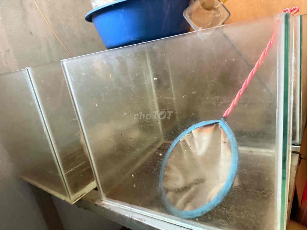 Hồ cá kính 35x25x25 cm. Mua bán Phụ kiện, Thức ăn, Dịch vụ tại Quận Tân Bình Tp Hồ Chí Minh được đăng bởi Trọng hình 1