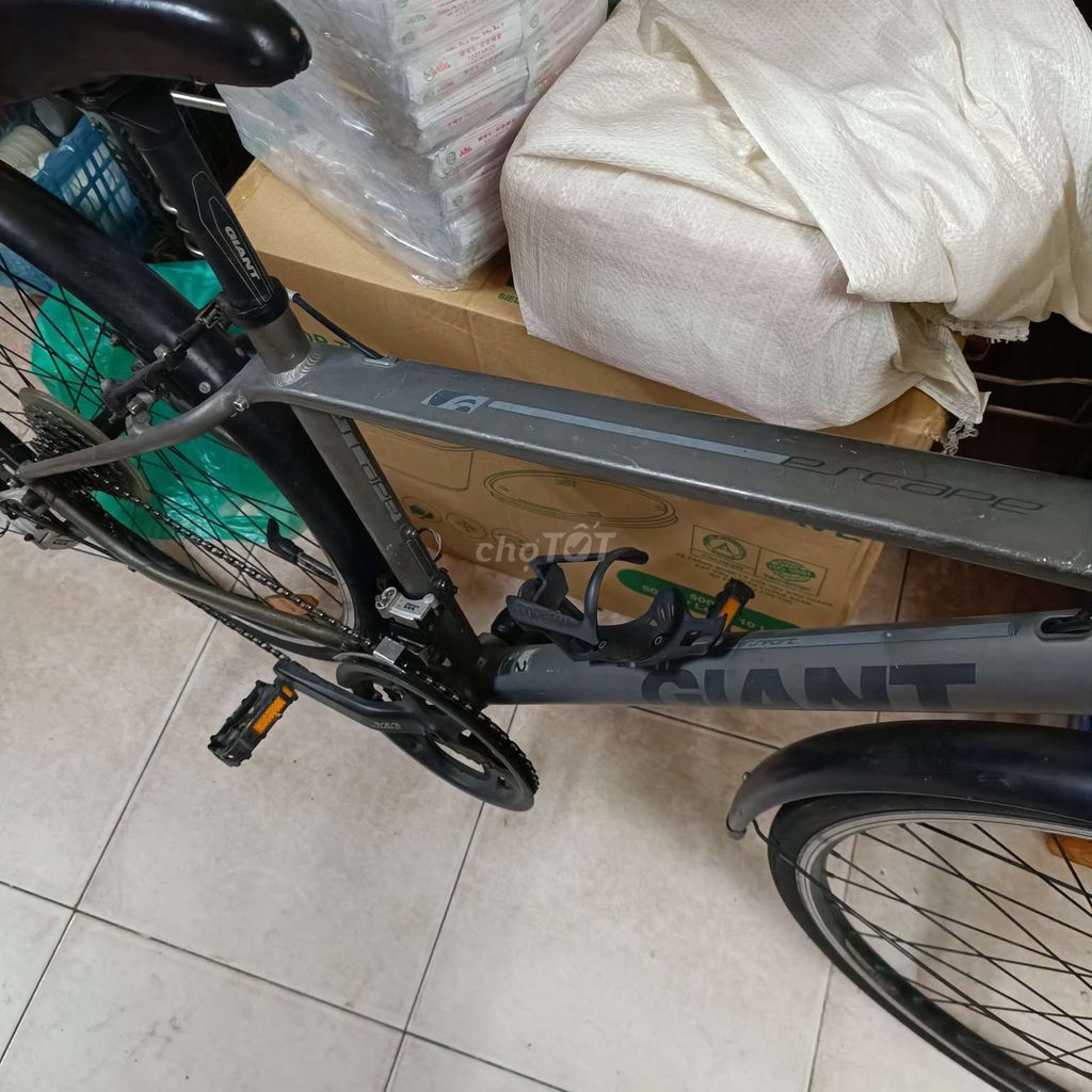 XE ĐẠP TT MỚI 90%, GHÉ NHÀ LẤY CÓ FIX. Mua bán Xe đạp tại Quận 11 Tp Hồ Chí Minh được đăng bởi Trần Uyển My hình 7